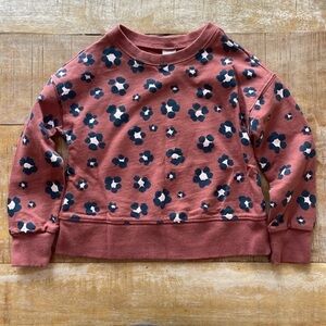 Carter’s girls sweatshirt 4t